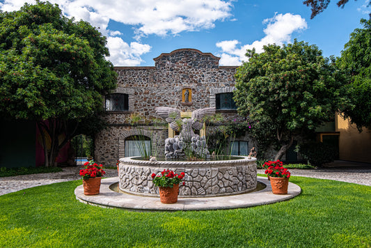 Casa de la Rosa Rosa